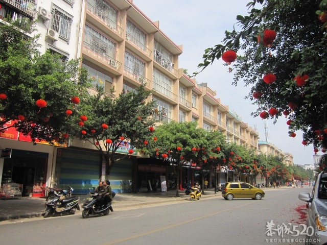 在这里，闻到年味——年货街（更新夜景）385 / 作者:北辰 / 帖子ID:61329