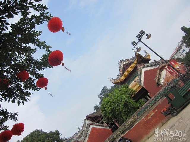 在这里，闻到年味——年货街（更新夜景）193 / 作者:北辰 / 帖子ID:61329