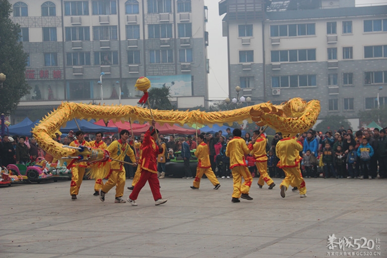 广场舞龙舞狮给大家拜年了··815 / 作者:开心~~迷茫 / 帖子ID:61479