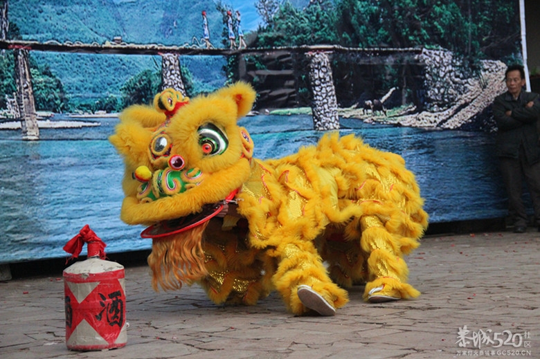 广场舞龙舞狮给大家拜年了··601 / 作者:开心~~迷茫 / 帖子ID:61479