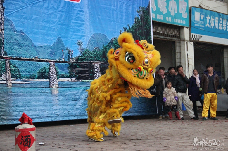 广场舞龙舞狮给大家拜年了··781 / 作者:开心~~迷茫 / 帖子ID:61479