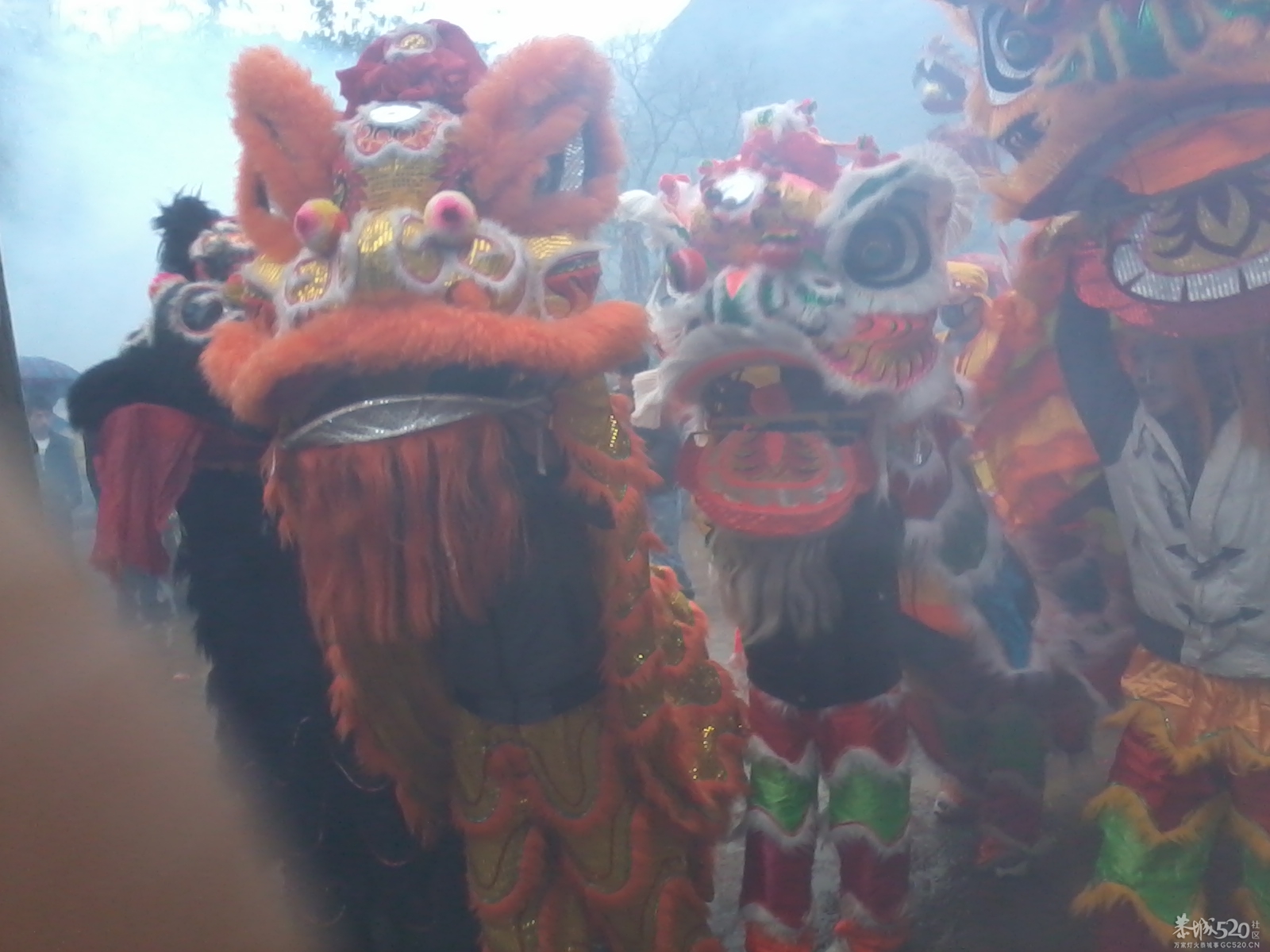 观音狮塘庙会9 / 作者:BASS203915 / 帖子ID:61684