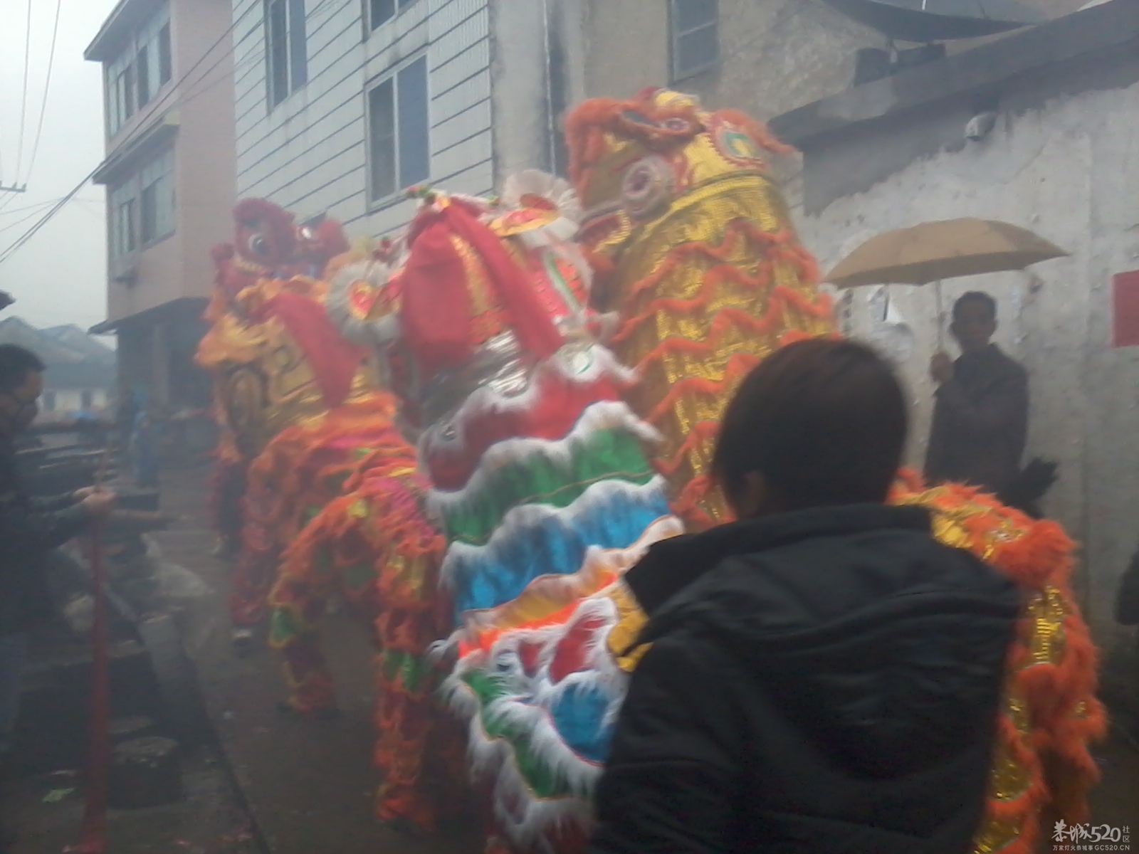 观音狮塘庙会495 / 作者:BASS203915 / 帖子ID:61684