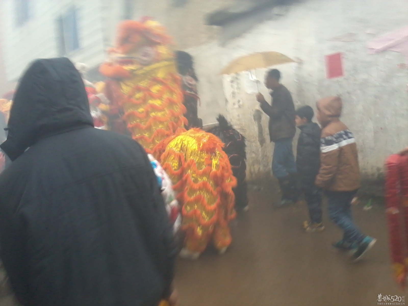 观音狮塘庙会553 / 作者:BASS203915 / 帖子ID:61684