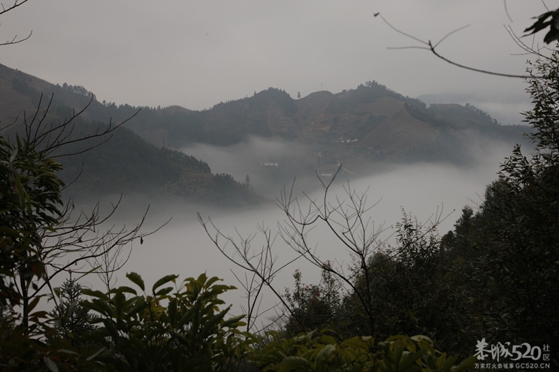 石口风光348 / 作者:箩筐索 / 帖子ID:62372