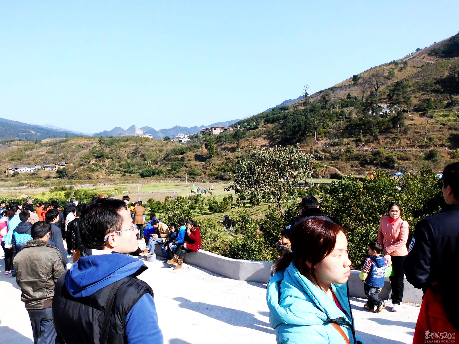 2013花炮节——热闹开头，闹剧收场260 / 作者:马路桥~八区 / 帖子ID:62990