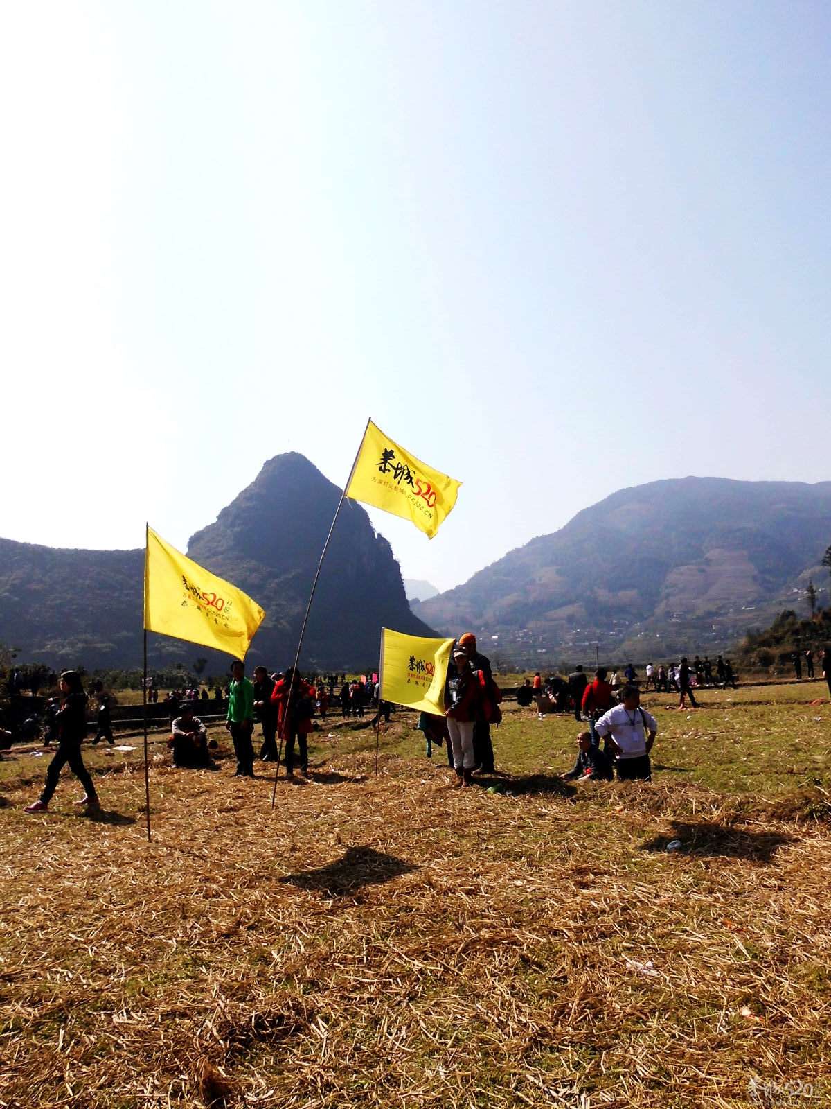 2013花炮节——热闹开头，闹剧收场639 / 作者:马路桥~八区 / 帖子ID:62990