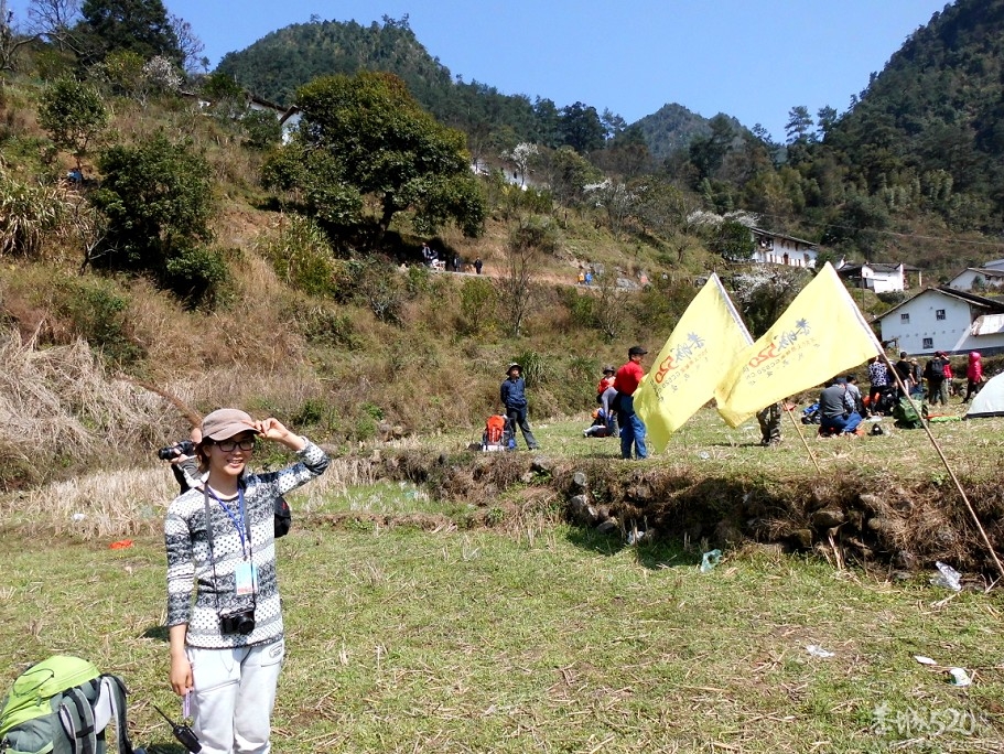 2013花炮节——热闹开头，闹剧收场29 / 作者:马路桥~八区 / 帖子ID:62990