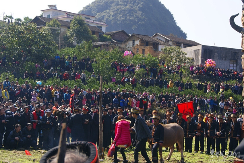 2013年三江石口花炮节444 / 作者:孟筒瑶 / 帖子ID:63210