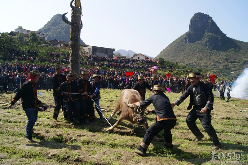 2013年三江石口花炮节731 / 作者:孟筒瑶 / 帖子ID:63210