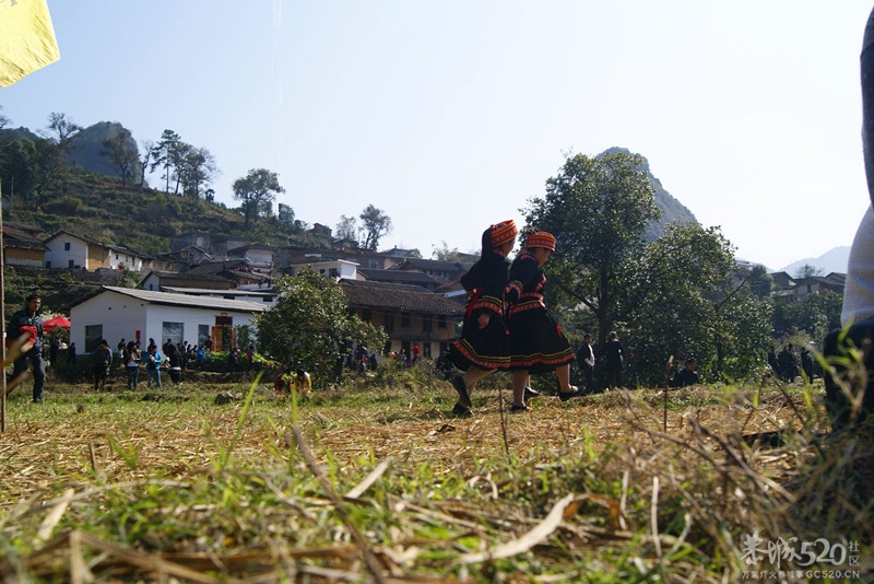 2013年三江石口花炮节699 / 作者:孟筒瑶 / 帖子ID:63210