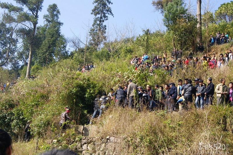 2013年三江石口花炮节582 / 作者:孟筒瑶 / 帖子ID:63210