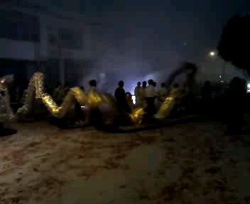 栗木元宵之夜8龙群舞872 / 作者:BASS203915 / 帖子ID:63648