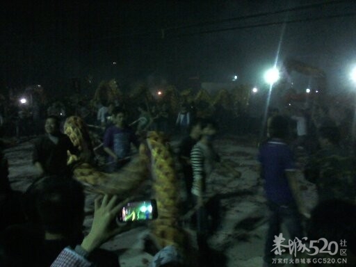 栗木元宵之夜8龙群舞91 / 作者:BASS203915 / 帖子ID:63648