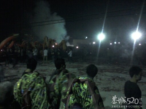 栗木元宵之夜8龙群舞181 / 作者:BASS203915 / 帖子ID:63648