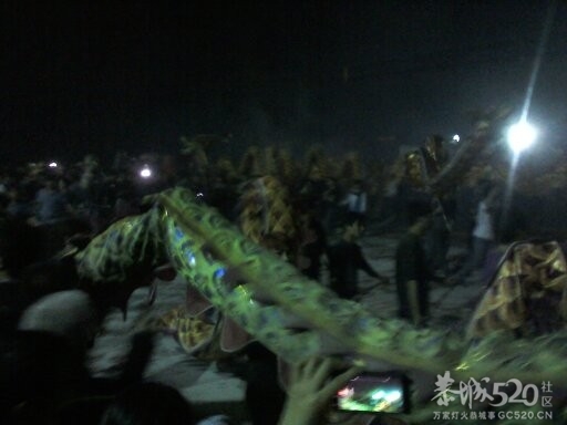 栗木元宵之夜8龙群舞68 / 作者:BASS203915 / 帖子ID:63648