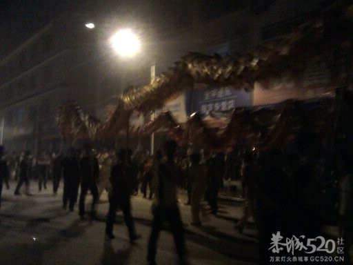 栗木元宵之夜8龙群舞971 / 作者:BASS203915 / 帖子ID:63648