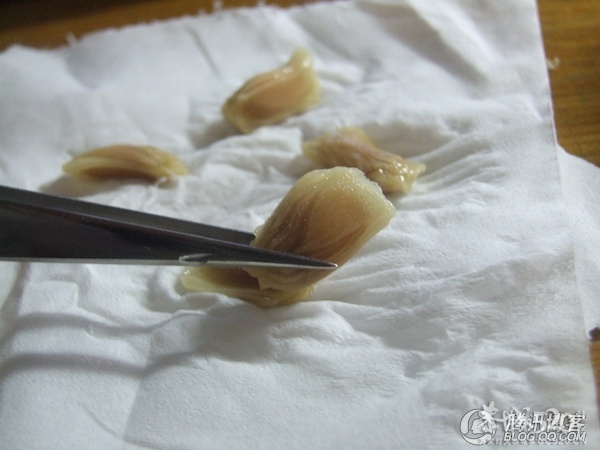 杯子里的小森林343 / 作者:爱哭鬼 / 帖子ID:63901