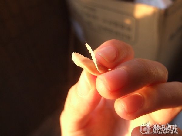 杯子里的小森林57 / 作者:爱哭鬼 / 帖子ID:63901