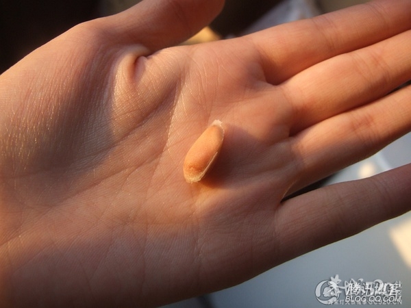 杯子里的小森林360 / 作者:爱哭鬼 / 帖子ID:63901