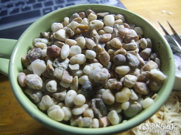 杯子里的小森林749 / 作者:爱哭鬼 / 帖子ID:63901