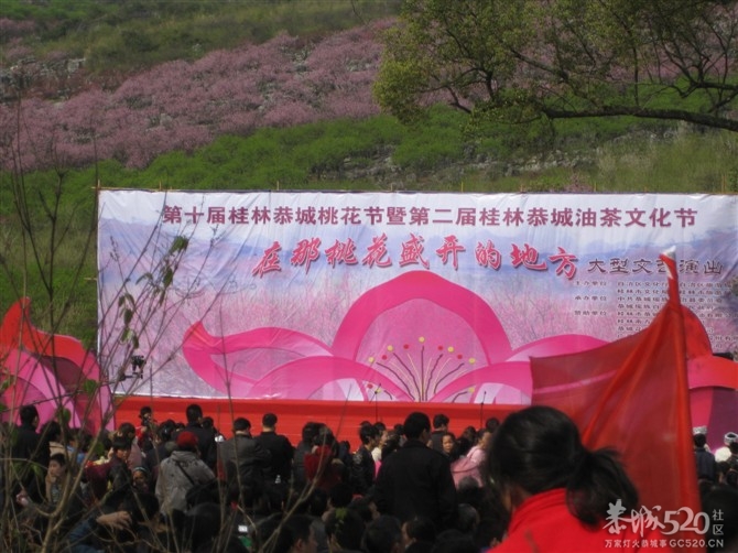 在那桃花盛开的地方627 / 作者:东方思雨 / 帖子ID:64001