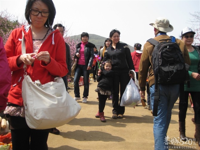 在那桃花盛开的地方167 / 作者:东方思雨 / 帖子ID:64001