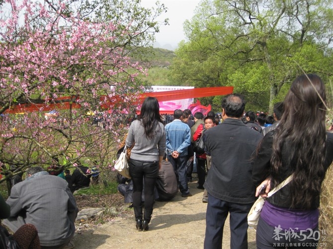 在那桃花盛开的地方600 / 作者:东方思雨 / 帖子ID:64001