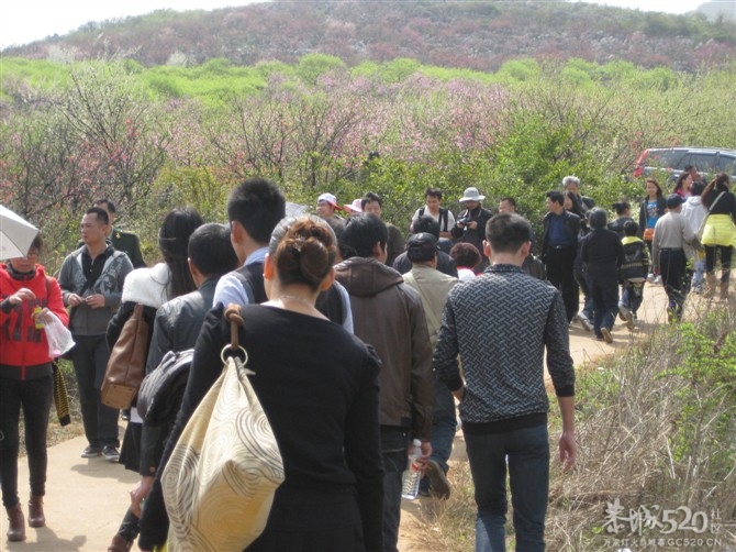 在那桃花盛开的地方930 / 作者:东方思雨 / 帖子ID:64001