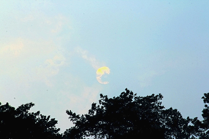 在家里面拍的太阳378 / 作者:瑶乡看兰 / 帖子ID:64249