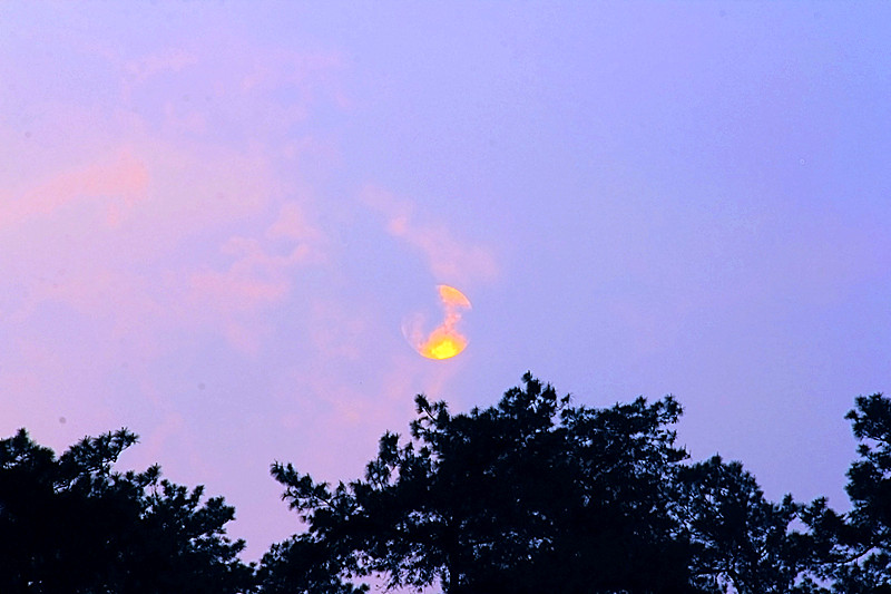 在家里面拍的太阳279 / 作者:瑶乡看兰 / 帖子ID:64249