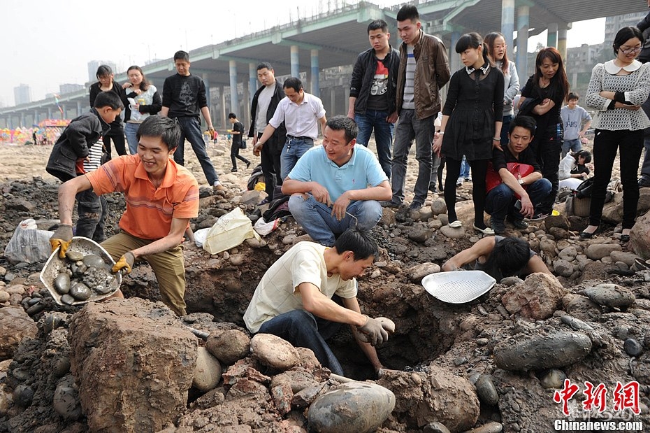 重庆市民扎堆嘉陵江“淘宝109 / 作者:瑶乡看兰 / 帖子ID:64498