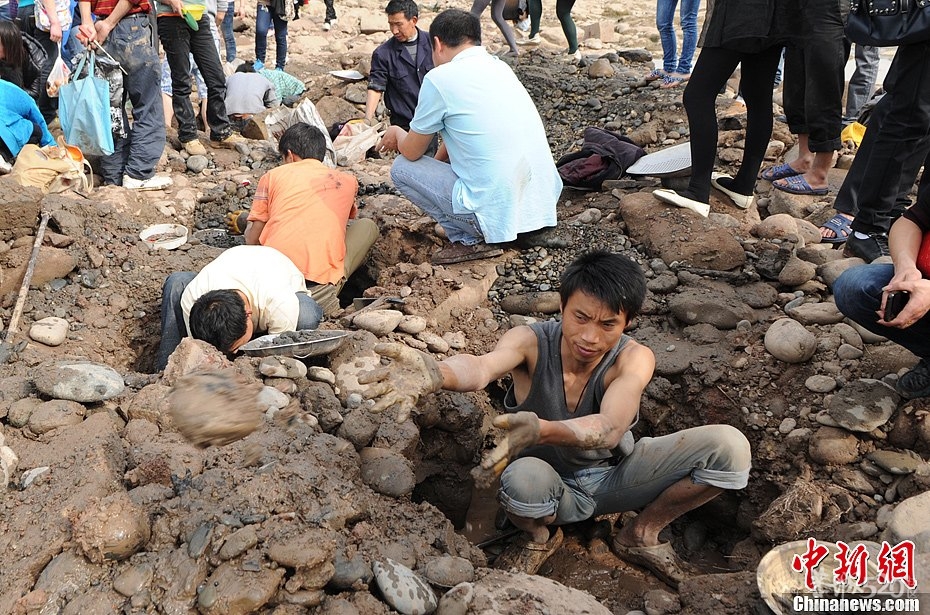 重庆市民扎堆嘉陵江“淘宝257 / 作者:瑶乡看兰 / 帖子ID:64498