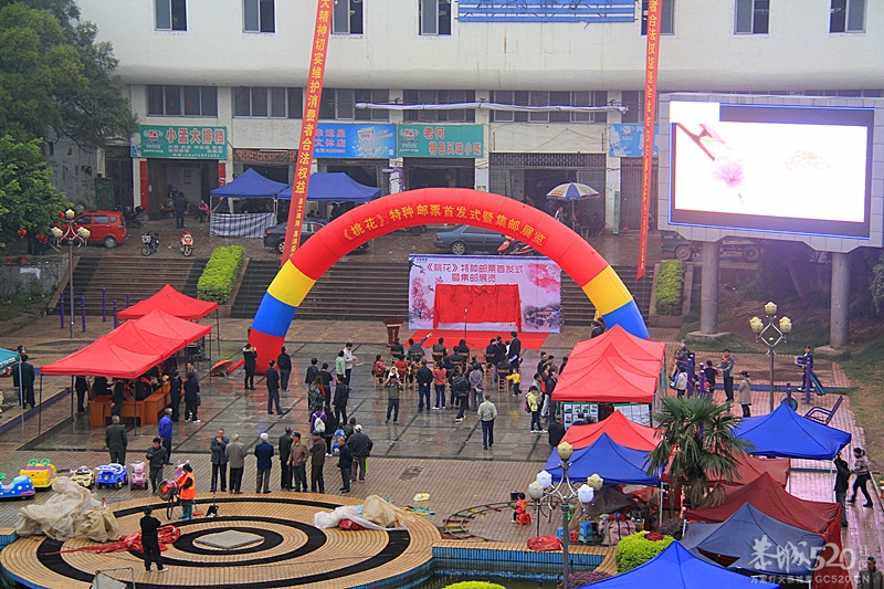 [桃花] 特种邮票发651 / 作者:瑶乡看兰 / 帖子ID:64701