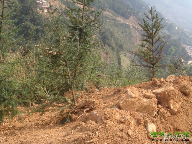 三江某村民强行在别人的地盘上修路，还要收过路费967 / 作者:晨锘 / 帖子ID:64720