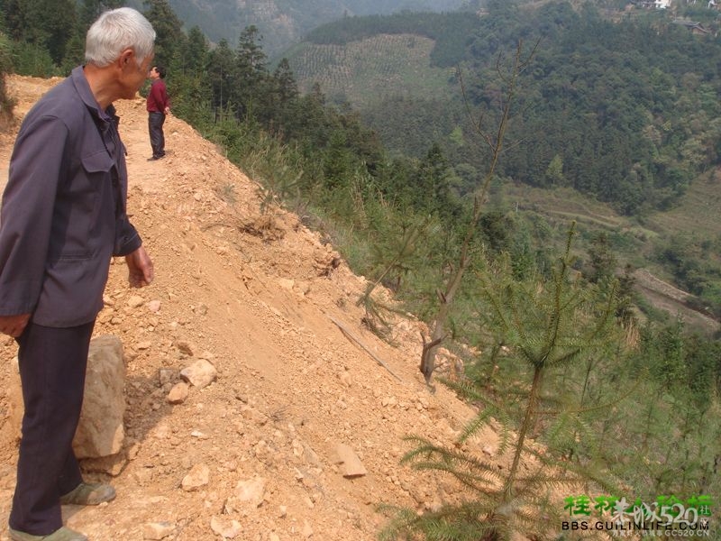 三江某村民强行在别人的地盘上修路，还要收过路费927 / 作者:晨锘 / 帖子ID:64720