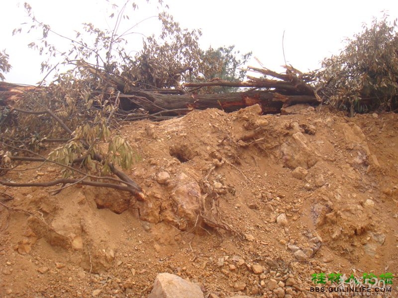 三江某村民强行在别人的地盘上修路，还要收过路费64 / 作者:晨锘 / 帖子ID:64720