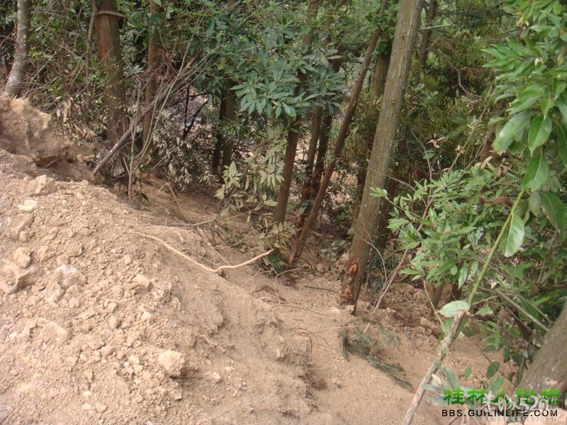 三江某村民强行在别人的地盘上修路，还要收过路费477 / 作者:晨锘 / 帖子ID:64720