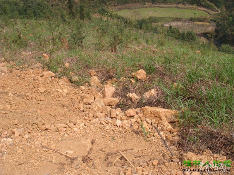 三江某村民强行在别人的地盘上修路，还要收过路费363 / 作者:晨锘 / 帖子ID:64720