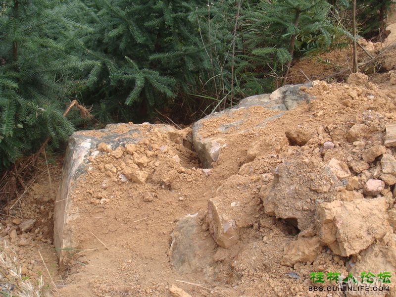 三江某村民强行在别人的地盘上修路，还要收过路费144 / 作者:晨锘 / 帖子ID:64720