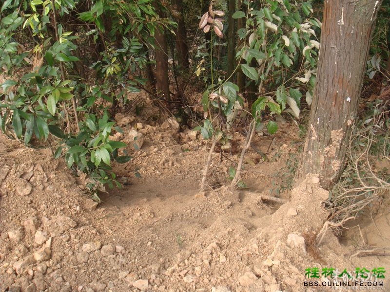 三江某村民强行在别人的地盘上修路，还要收过路费327 / 作者:晨锘 / 帖子ID:64720