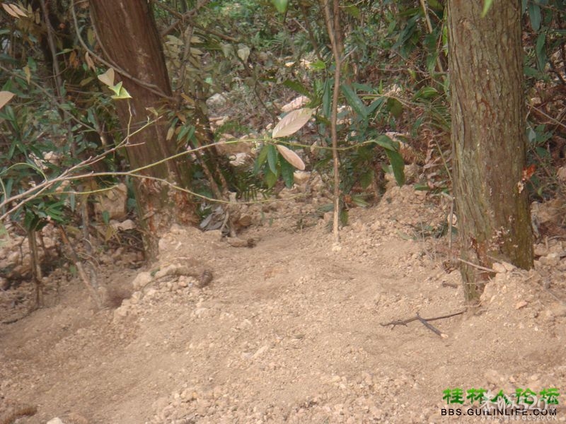 三江某村民强行在别人的地盘上修路，还要收过路费827 / 作者:晨锘 / 帖子ID:64720