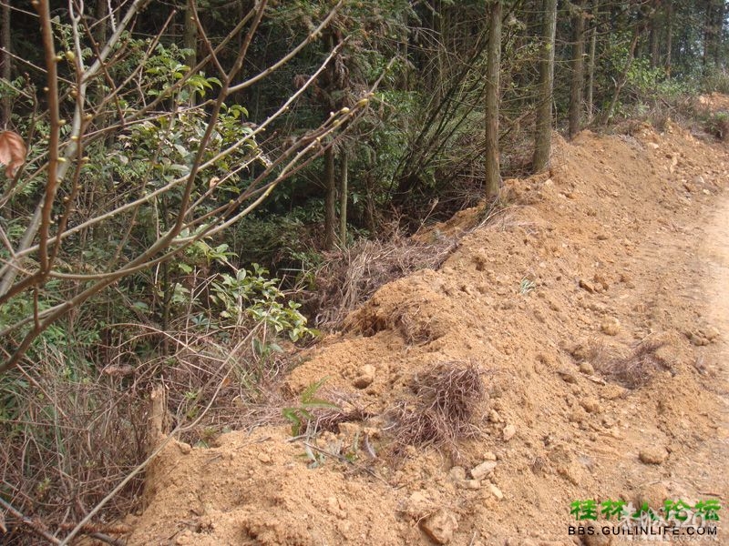 三江某村民强行在别人的地盘上修路，还要收过路费25 / 作者:晨锘 / 帖子ID:64720