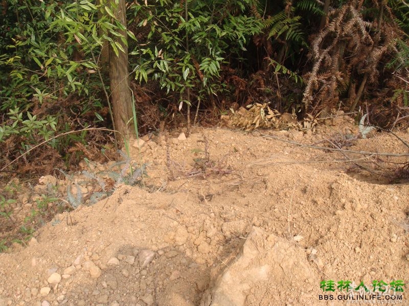 三江某村民强行在别人的地盘上修路，还要收过路费331 / 作者:晨锘 / 帖子ID:64720