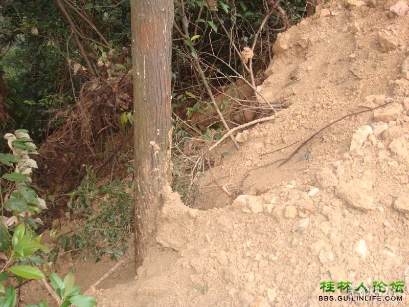 三江某村民强行在别人的地盘上修路，还要收过路费921 / 作者:晨锘 / 帖子ID:64720