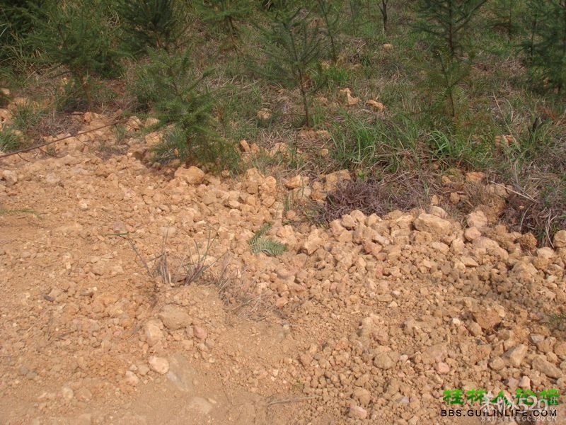三江某村民强行在别人的地盘上修路，还要收过路费922 / 作者:晨锘 / 帖子ID:64720