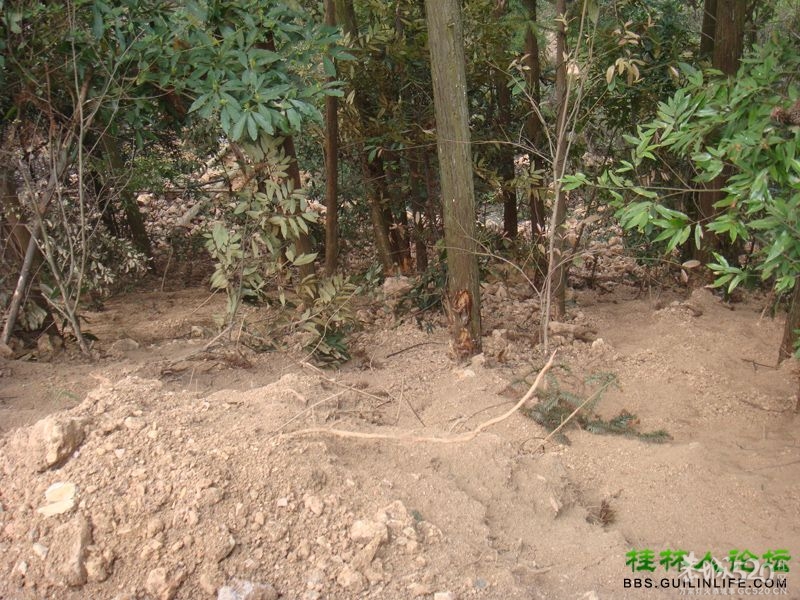 三江某村民强行在别人的地盘上修路，还要收过路费447 / 作者:晨锘 / 帖子ID:64720