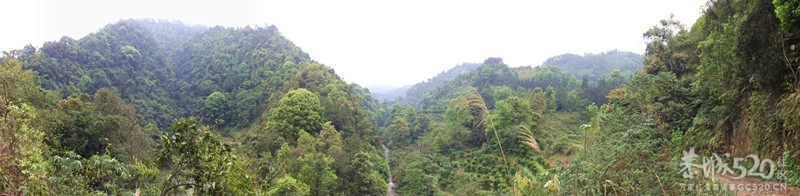 我县县城供水备用水源工程如火如荼进行中141 / 作者:愚自乐 / 帖子ID:64522