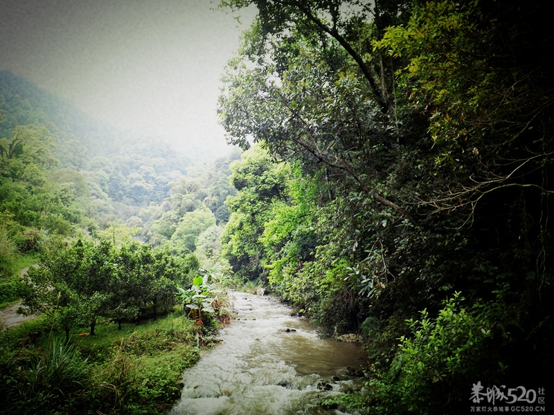 我县县城供水备用水源工程如火如荼进行中260 / 作者:愚自乐 / 帖子ID:64522