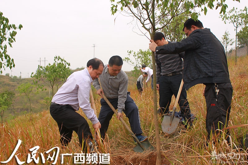 春日党员群众植树忙898 / 作者:风油精 / 帖子ID:65486